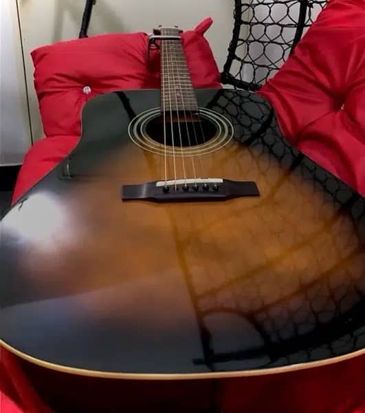 Professional Acoustic Guitar 1