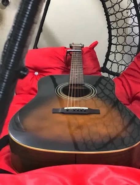 Professional Acoustic Guitar 5