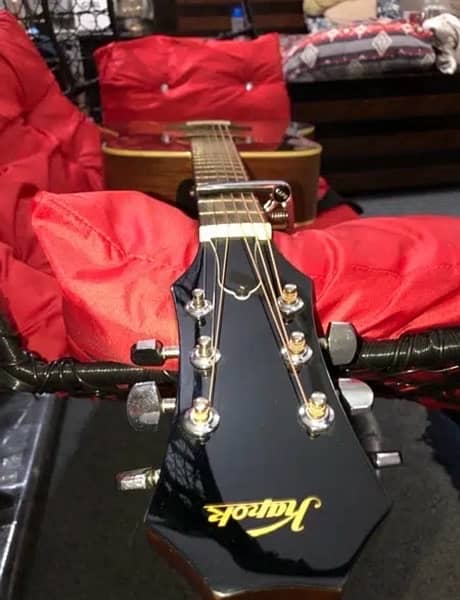 Professional Acoustic Guitar 6