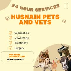 Hiring Veterinary Assistant
