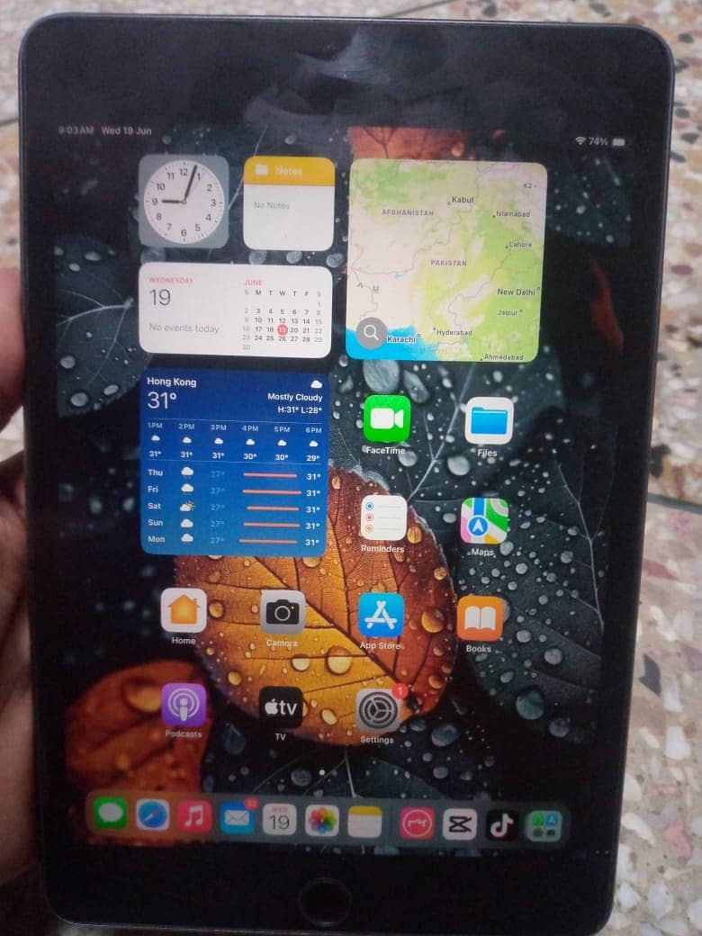 iPad mini 5 1
