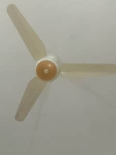 GFC Pak Fans copper Fans. Mix color 5 ceiling fan for sale