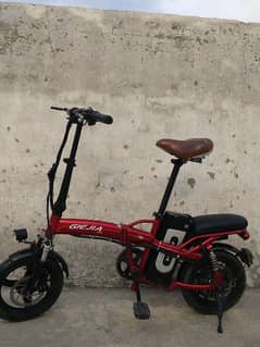 Electric Cycle For teenagers and adults easy to Cary