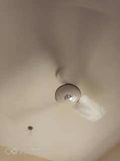 56inch Pak fan ceiling