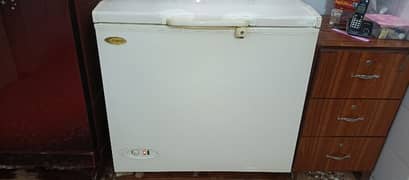 Waves Deep freezer well maintained clean comdition
