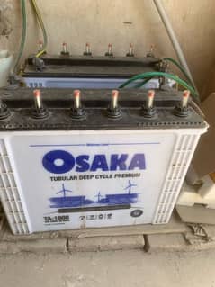 Osaka Tall Tabular batteries
