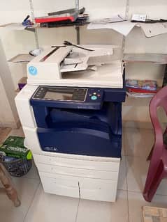 xerox 5955 for used