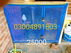 pigeons cage pinjra birds cage for sale six pice of birds