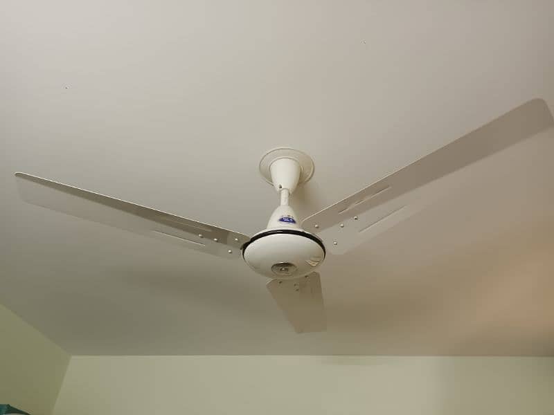 Sale celling fan ( Pak Fan) 0