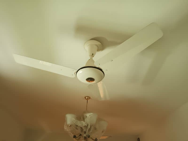 Sale celling fan ( Pak Fan) 2