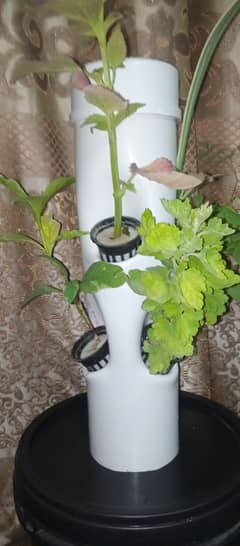 Hydroponic 6 Holes Growing System Indoor and outdoor garden Herb frui