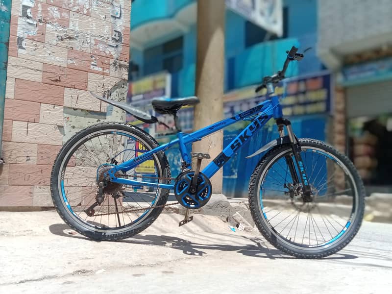 24" XBICYCLE MTB 0