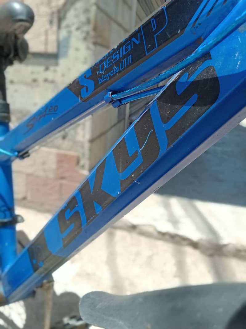 24" XBICYCLE MTB 7