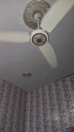 Ceiling Fans For sell