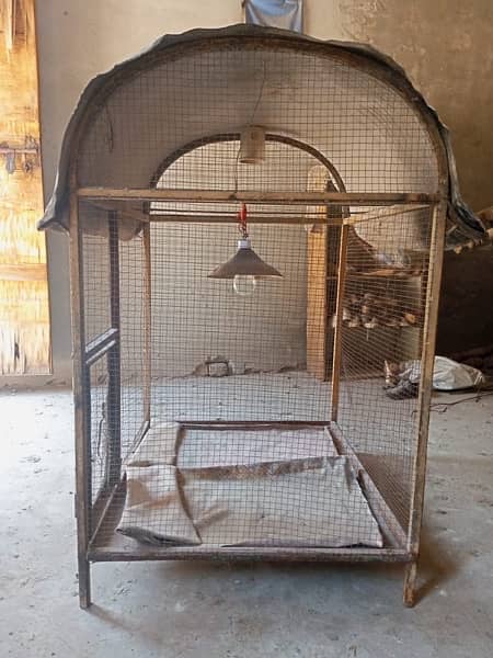 iron cage for all birds 4