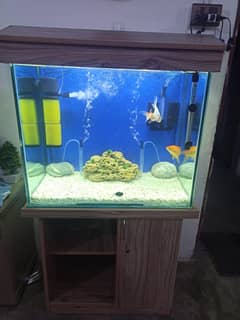 Aquarium/fish