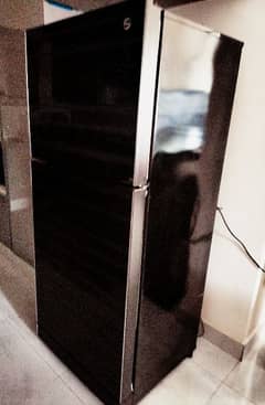 PEL Glass door Refrigerator 0