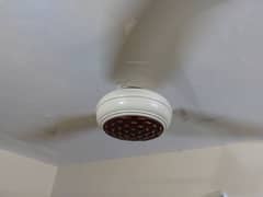 FAN 56" AC BRAND NEW BOUGHT OCTOBER LAST YEAR