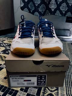 Original Mizuno Shoe 0