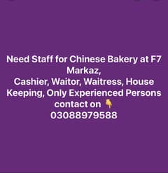 Urgent Staff Required for Chinese Bakery |Job Available |Urgent Hiring