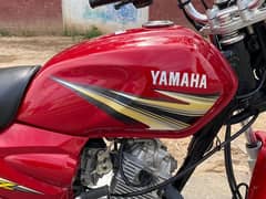 Yamaha ybz 2019 0