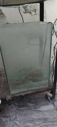 Aquarium 1 foot height 1.5 8mm glass