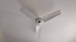 Pak Fan Ceiling Fan 0