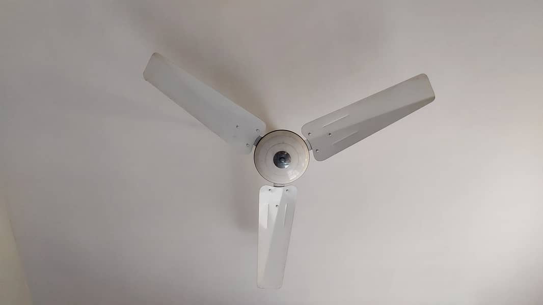 Pak Fan Ceiling Fan 0