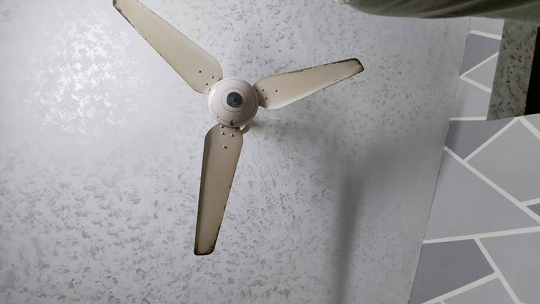 Pak Fan Ceiling Fan 9