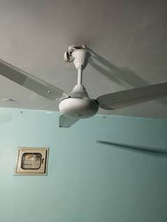 56 inch Ceiling fan