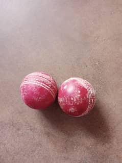 cricket hard ball kit one month use with bag