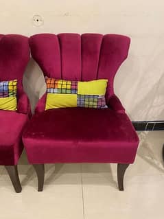 Velvet chairs for sale