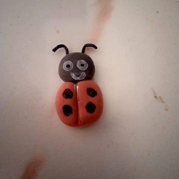 ladybug rupees 0