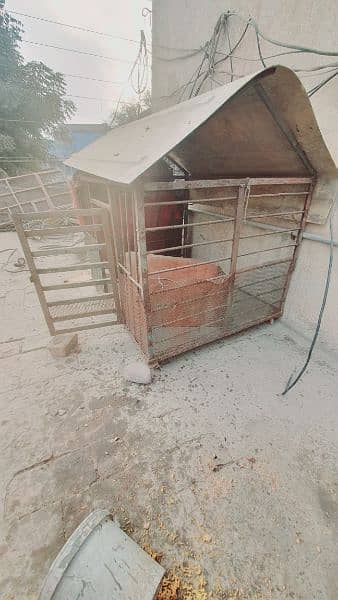 cage for sale 2