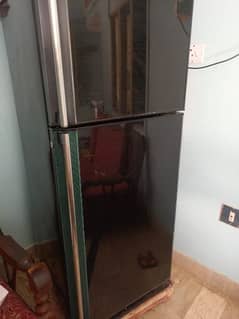 Orient Refrigerator with Black Glass