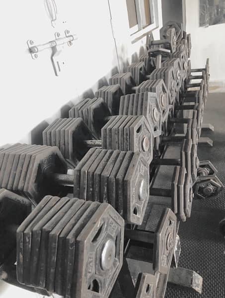 Gym Dumbbells 1