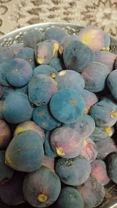 Full fresh irani Fig grown locally is available