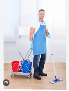 cleaning best services