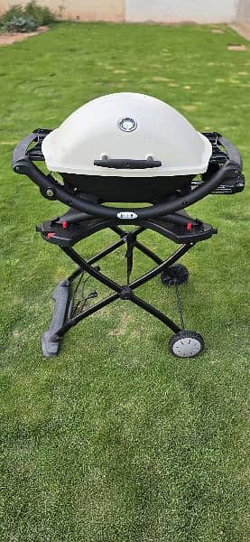 Weber Q2200 Liquid Propane Grill 0