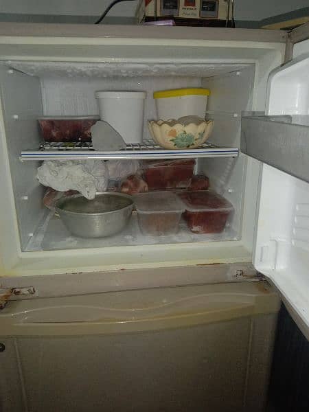 dawlnce medium size fridge 1