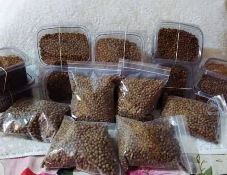 Fish Feed High Protein 2