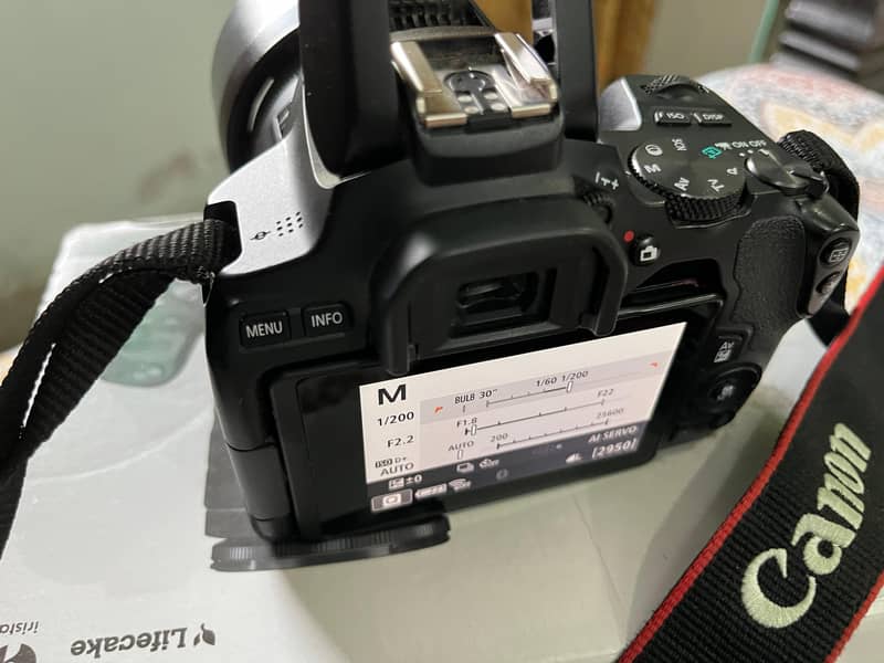 Canon 250D with 50mm 1.8 STM lens and kit lens 1