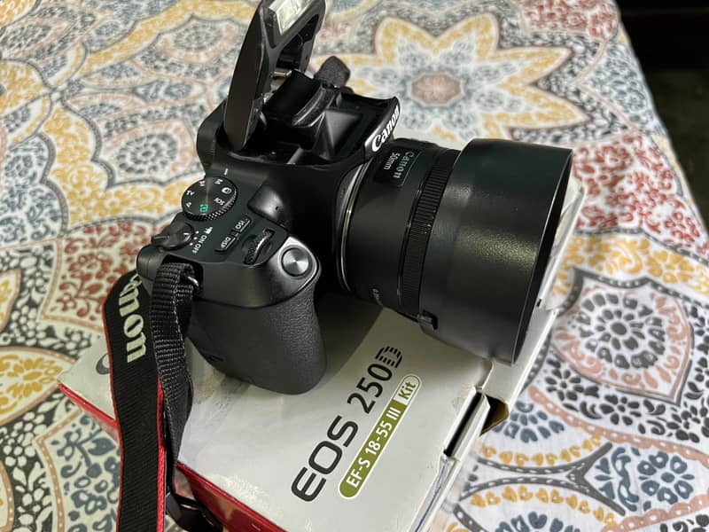 Canon 250D with 50mm 1.8 STM lens and kit lens 3