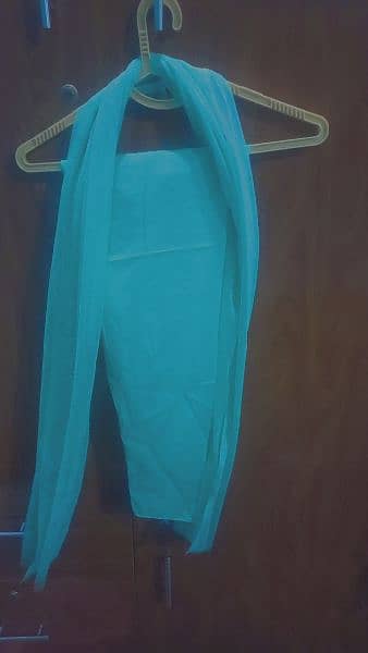 Blue color net maxi with shalwar and dupatta 3