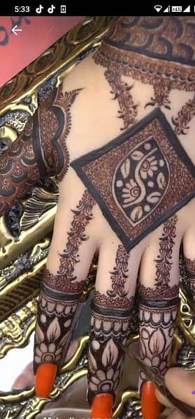 Almeera Mehndi 4