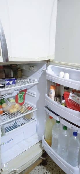 pel refrigerator 4