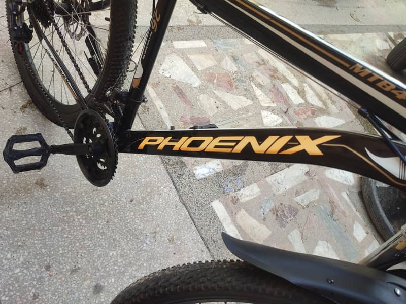 PHOENIX (MTB) IMPORTED BICYCLE 11