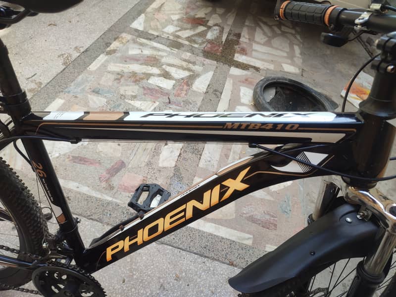 PHOENIX (MTB) IMPORTED BICYCLE 12