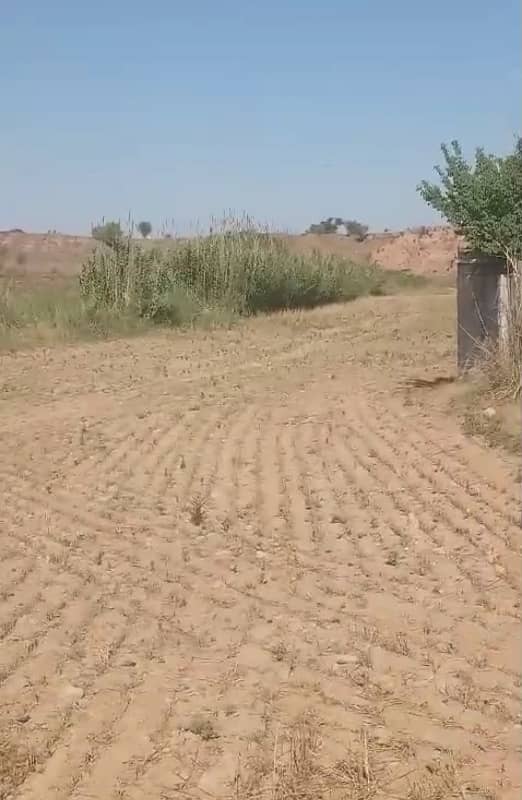 70 knal agriculture land for sale in mangwal chakwal 0
