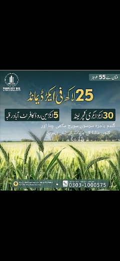30 akr agriculture zameen